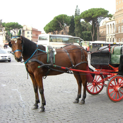Roma in carrozza